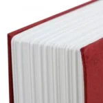 Сейф-книга скарбничка «Cashbook» на замку з ключем